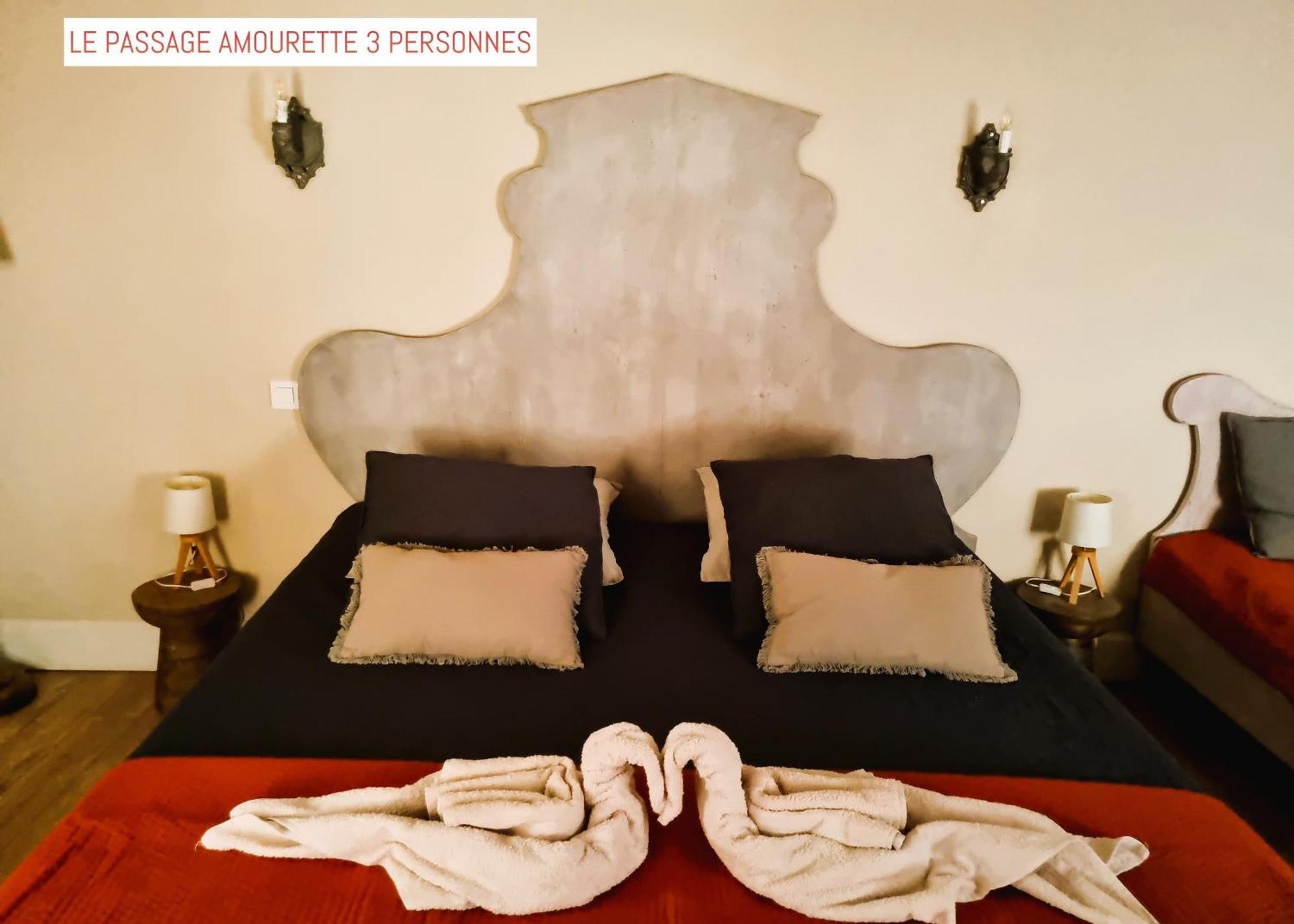 Le Passage Bed & Breakfast Carcassonne Exterior photo