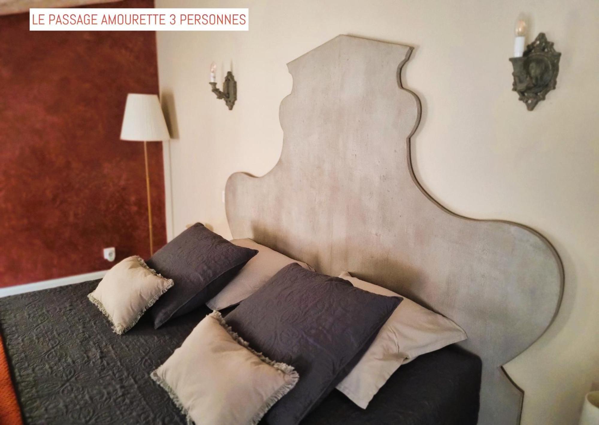 Le Passage Bed & Breakfast Carcassonne Exterior photo