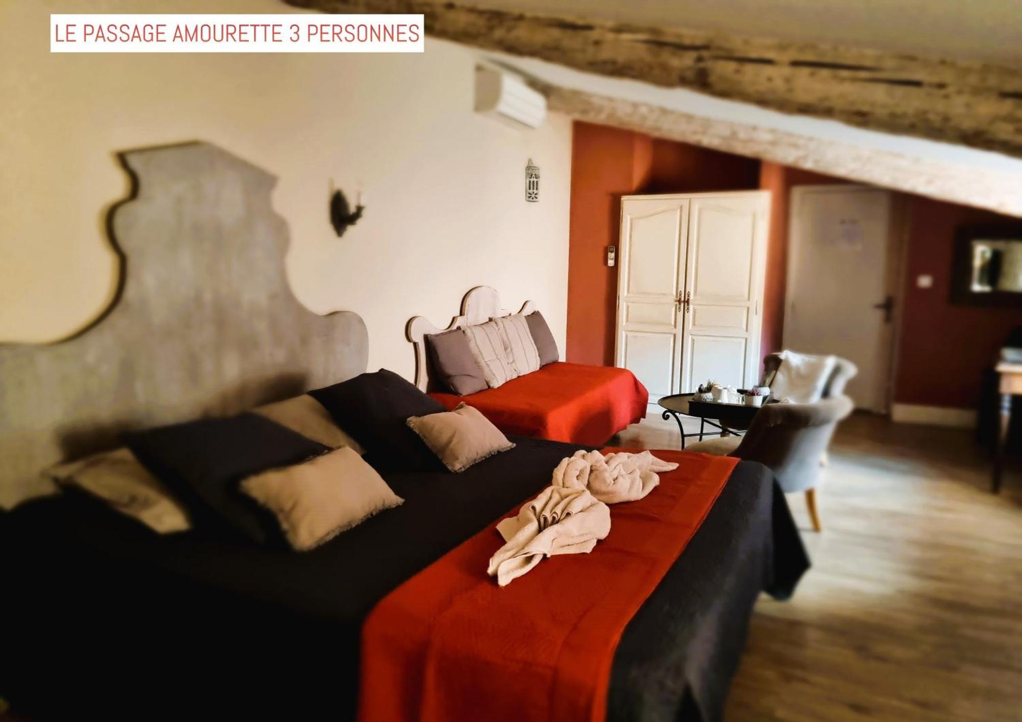 Le Passage Bed & Breakfast Carcassonne Exterior photo