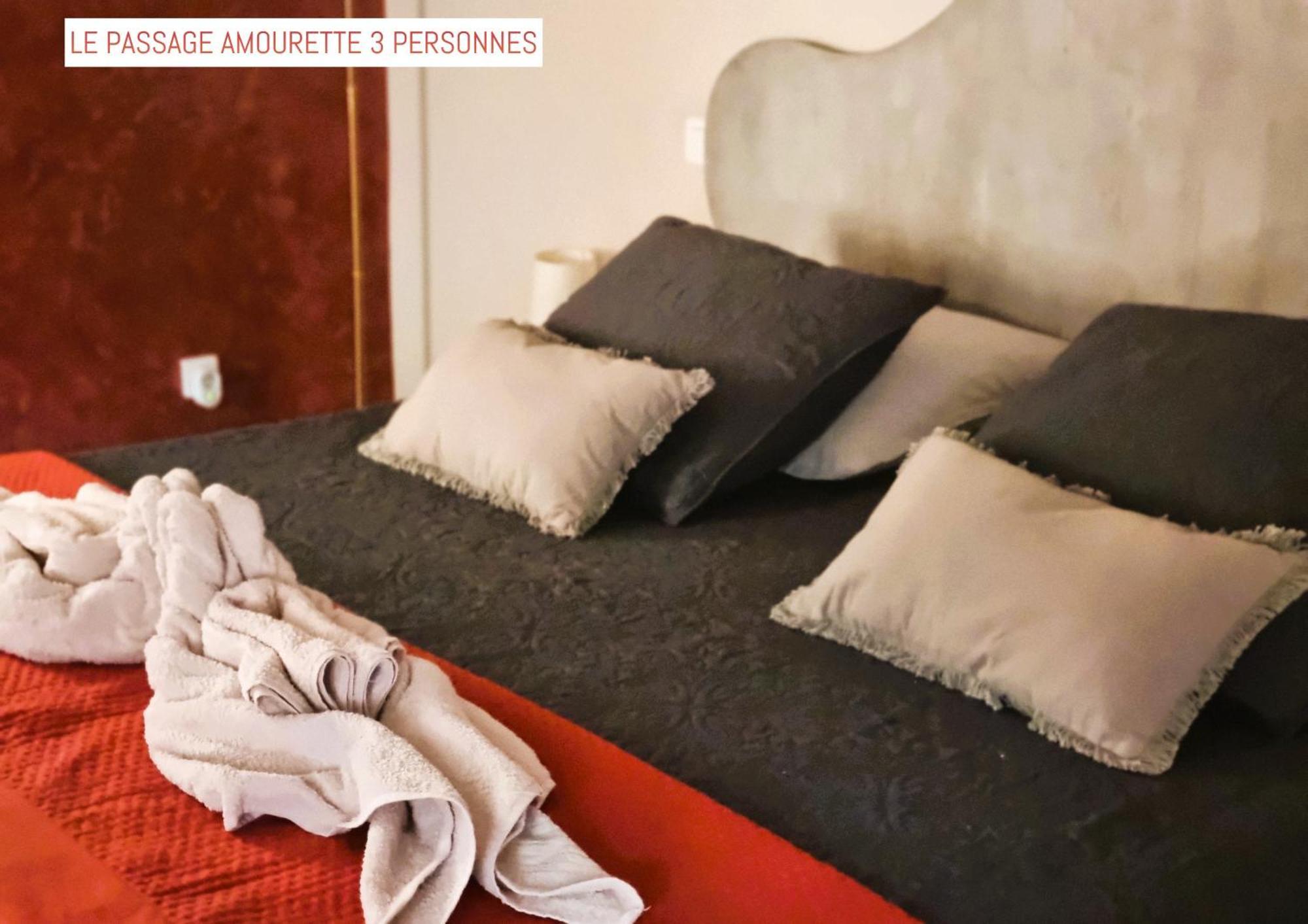 Le Passage Bed & Breakfast Carcassonne Exterior photo