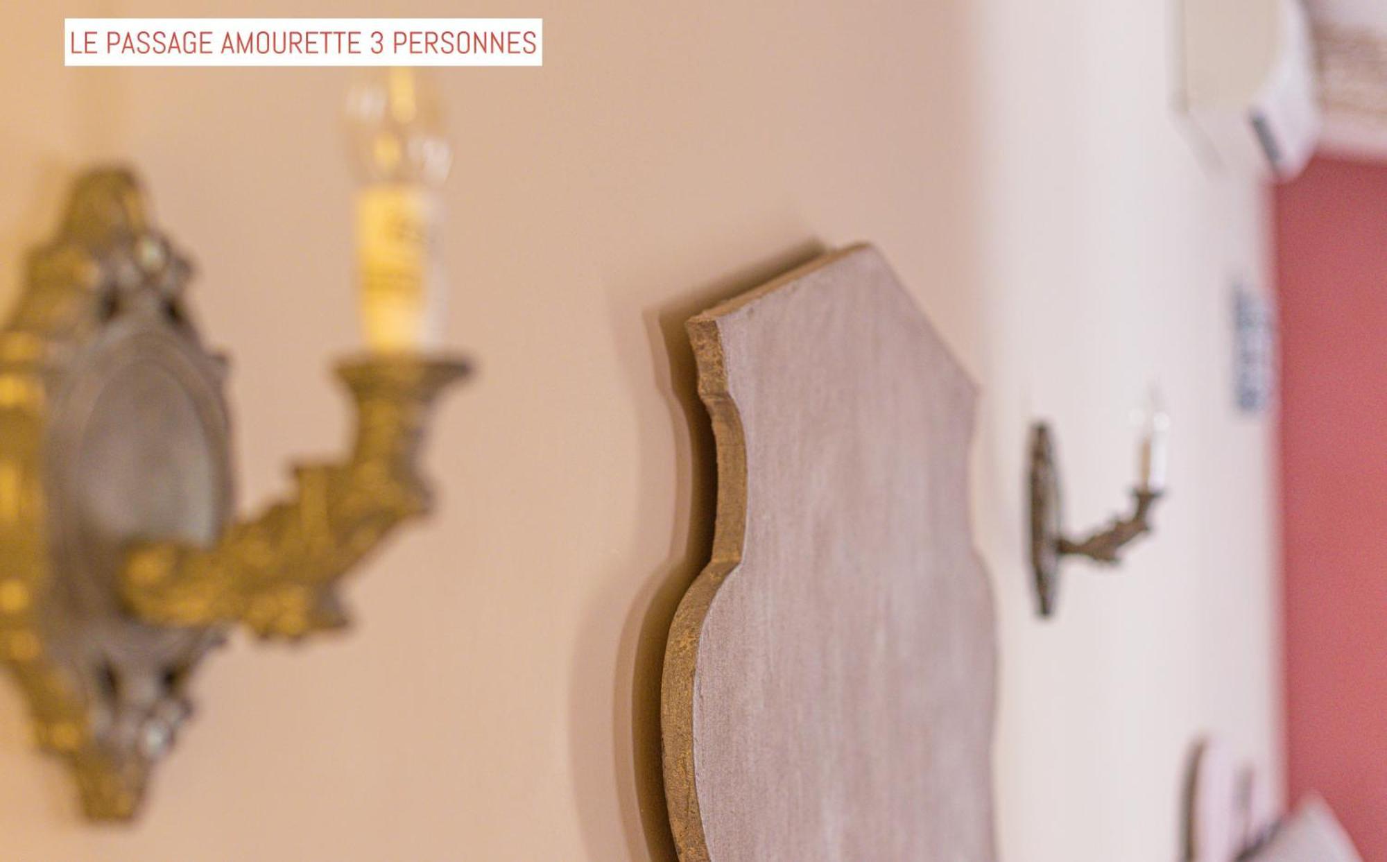 Le Passage Bed & Breakfast Carcassonne Exterior photo